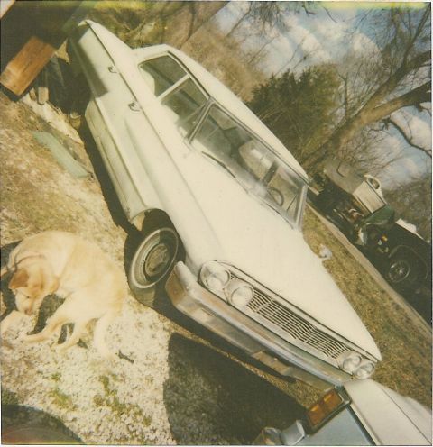 1978 Pontiac Trans Am - A vintage white sedan sits parked outdoors next to a sleeping dog, with another vehicle in the background.