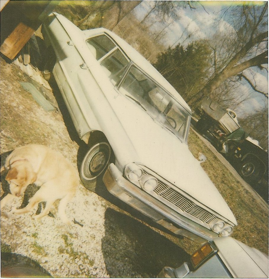 1960s white sedan parked outside with a yellow lab sleeping nearby. Another vehicle is visible in the background