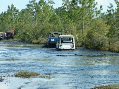 1995 Ford Bronco - Multiple off-road vehicles are seen driving through a muddy, water-filled terrain surrounded by trees.