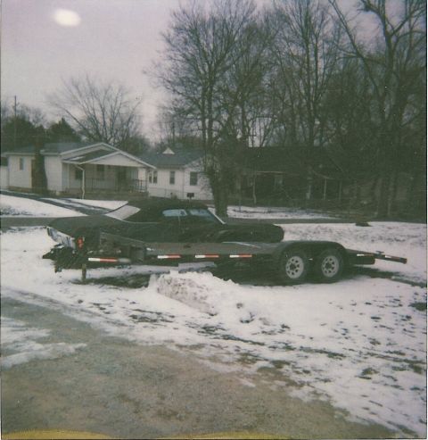1978 Pontiac Firebird photo
