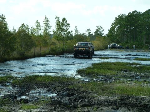 1995 Ford Bronco - Off-road vehicles drive through a muddy, waterlogged area with trees and people visible.