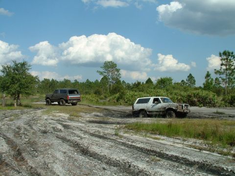 1995 Ford Bronco - Two SUVs are stuck in a muddy area with trees and a cloudy sky in the background.