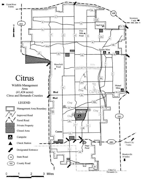 1991 Ford Bronco - This document is a map of the Citrus Wildlife Management Area, detailing its roads and features.