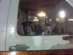 1989 Ford Bronco - Dogs are visible through the side window of a white vehicle at night.