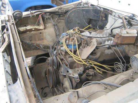 1978 Ford Bronco - The engine bay of a 1978 Ford Bronco, showing the V8 engine and associated components.