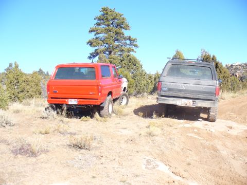 1979 Ford Bronco - Two Ford Broncos are parked on a dusty trail under a clear blue sky, surrounded by sparse vegetation and trees.