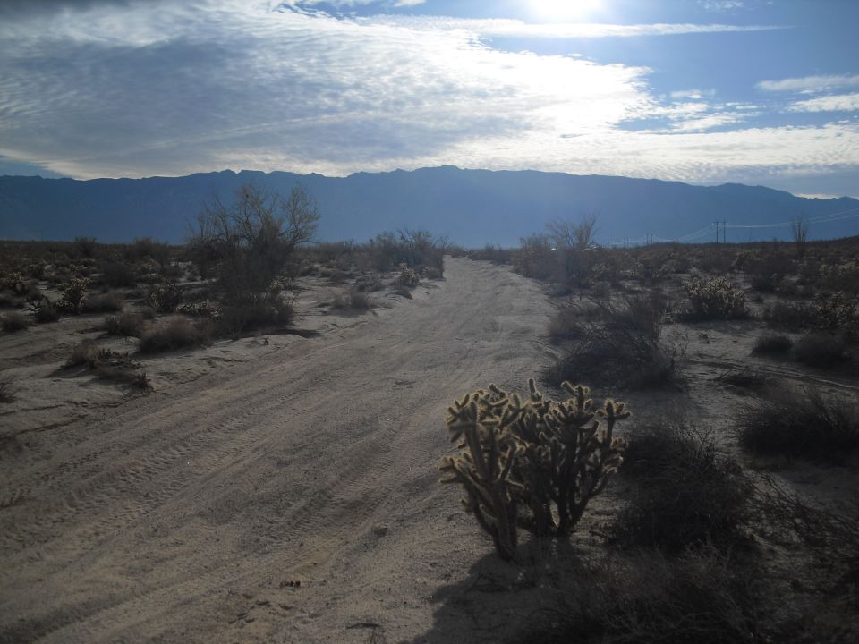 Desert landscape with a dirt road leading towards mountains under a cloudy sky. Cacti are visible