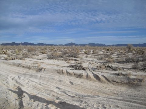 1986 Ford Bronco - Tire tracks mark the sandy terrain of a desert landscape under a vast, cloudy sky.