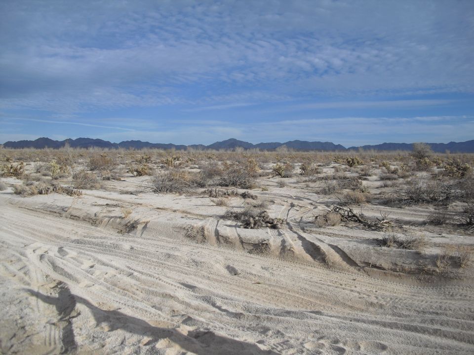 Desert landscape with tire tracks in sand under a cloudy blue sky