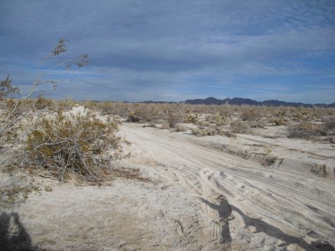 1986 Ford Bronco - A desolate desert scene with tire tracks marking a path through the sand and sparse vegetation.