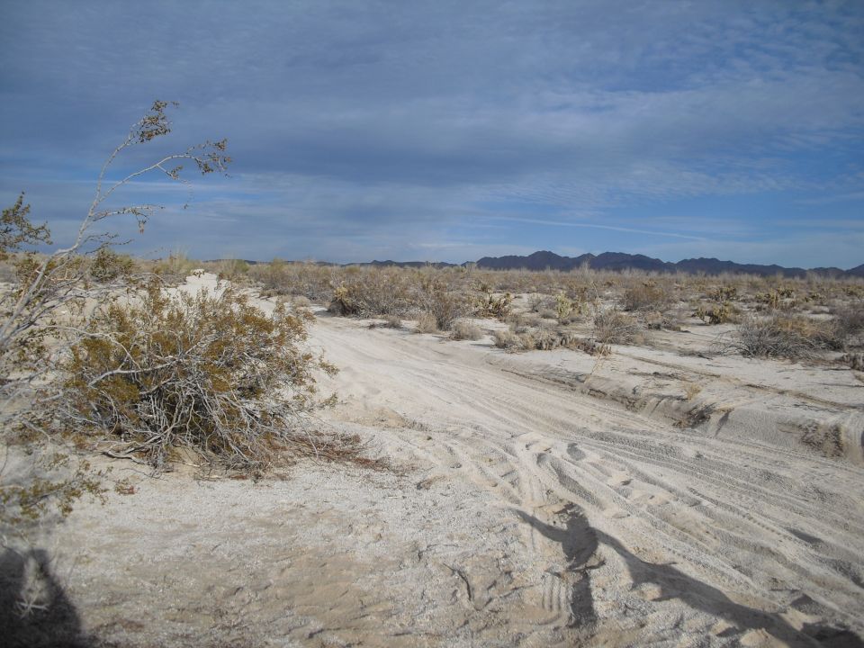 Desert landscape with tire tracks and scrub brush under a cloudy sky