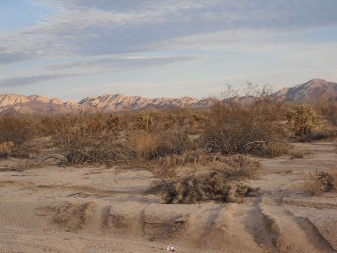 1986 Ford Bronco - Desert scene with mountains in the background and scrub brush in the foreground. Tire tracks are visible.