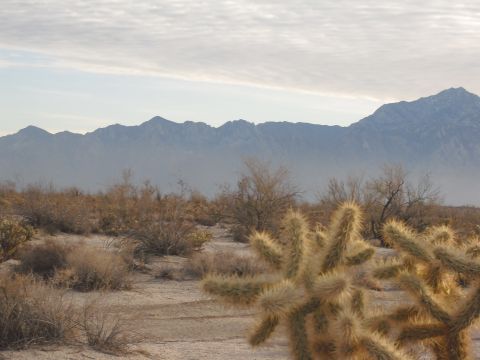 1986 Ford Bronco - A desert landscape with mountains in the distance and a cholla cactus in the foreground. The Supermotors logo is visible.