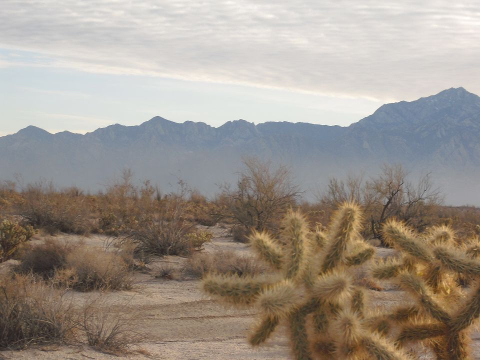Desert scene with mountains in background and cholla cactus in foreground. Supermotors logo in lower right