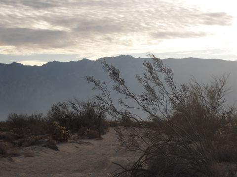 1986 Ford Bronco - desert scene at dusk: silhouetted scrub brush in the foreground with a hazy mountain range behind under a cloudy sky.