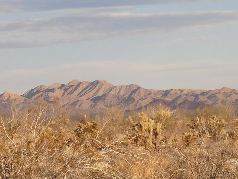 1986 Ford Bronco - A vast desert landscape unfolds under a pale blue sky, with mountains in the distance and dry brush in the foreground.