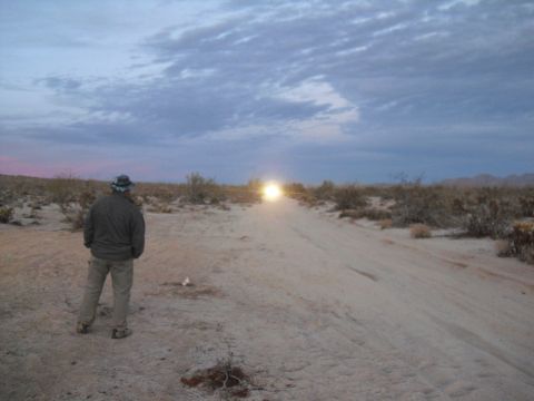 1986 Ford Bronco - A person surveys a desert scene with headlights visible in the distance.