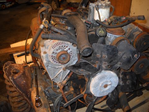 1988 Ford F-250 - Engine assembly, likely for a Ford truck, showing the alternator, fan, and various hoses and components.