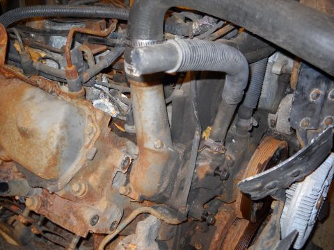 1988 Ford F-250 - Close-up view of a heavily rusted engine, showing hoses, belts, and various engine components.