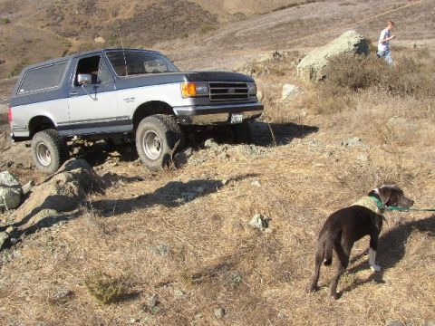 1989 Ford Bronco - A lifted 1989 Ford Bronco navigates a , dry landscape with a dog in the foreground.