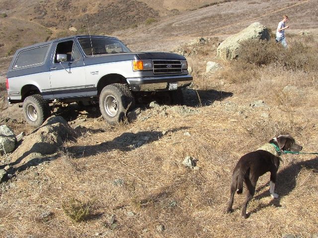 Silver and gray lifted Ford Bronco SUV parked on a grassy hillside with a dog in the foreground