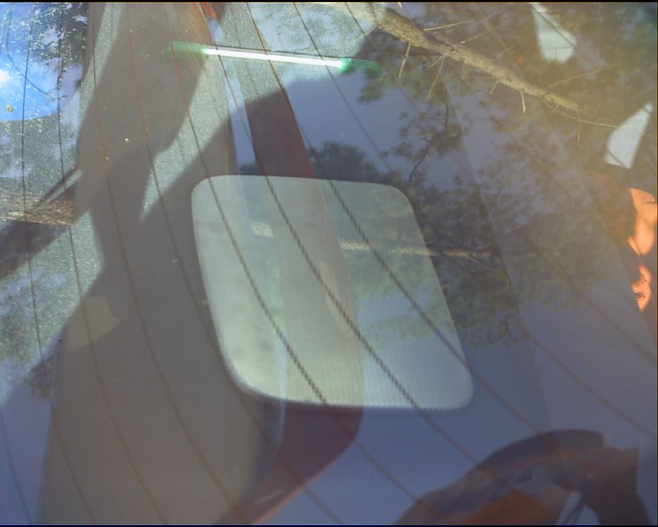 Rear window with defroster lines and reflections of trees and sky