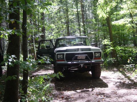 1979 Ford Bronco - This Ford F-Series truck is parked in a wooded area with its driver's door open.