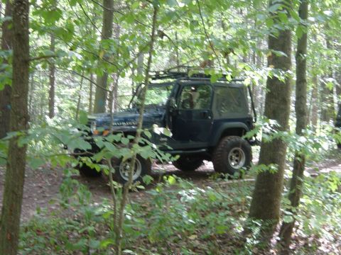 1979 Ford Bronco - A dark blue Jeep Wrangler navigates a wooded trail, its roof rack visible above the trees.