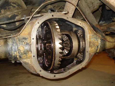 1989 Ford F-250 - Close-up view of the internal gears within a vehicle's differential housing.
