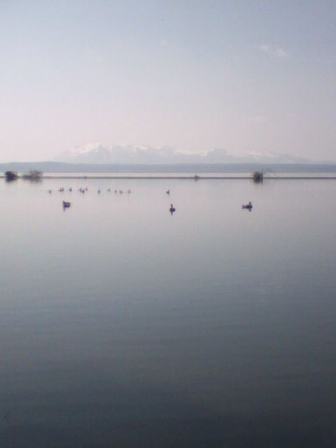 2007 Dodge Caliber - A lake scene with various birds and a mountain range in the background.