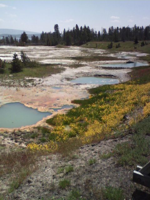 2007 Dodge Caliber - A scenic view of geothermal pools surrounded by yellow wildflowers and lush greenery, with a backdrop of trees and a distant horizon.