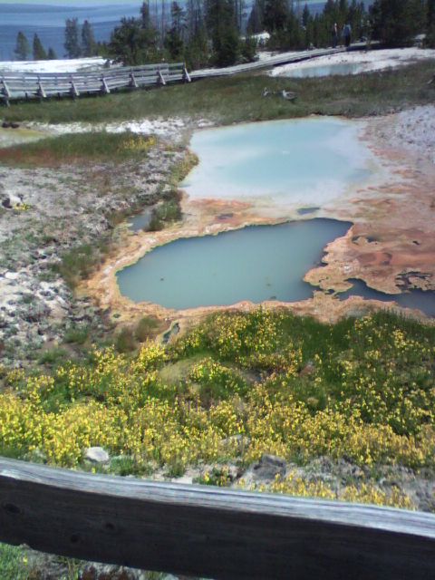 2007 Dodge Caliber - Geothermal pools with colorful mineral deposits and yellow wildflowers, with a wooden boardwalk in the background.
