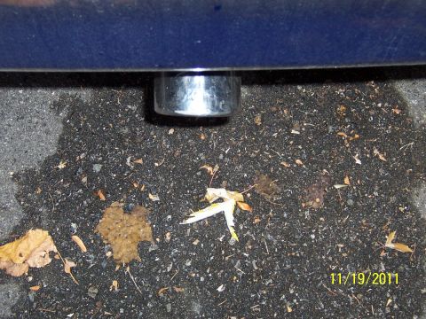 1993 Ford Probe - Close-up of a vehicle's exhaust pipe, with the date 11/19/2011 visible in the lower right corner.