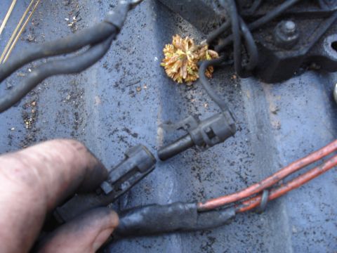 1989 Ford F-250 - Close-up of engine wiring harness connectors, one being held by a hand.