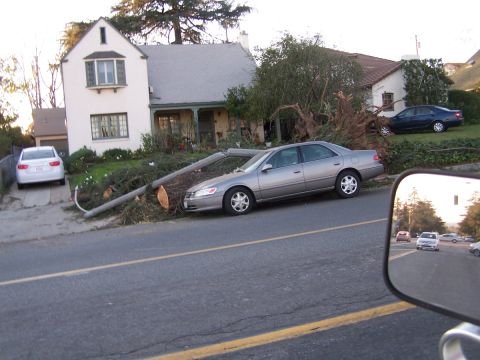 1990 Ford Bronco - A silver sedan is partially blocked by a large fallen tree, with a white car in the driveway.