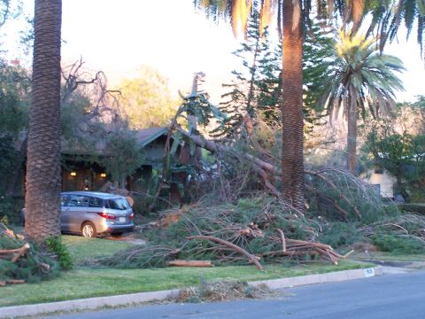 1990 Ford Bronco - A silver minivan is parked in front of a house that has a large tree fallen across its yard.