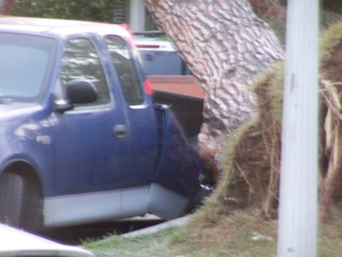 1990 Ford Bronco - A blue pickup truck is parked precariously close to a large tree that has fallen over.