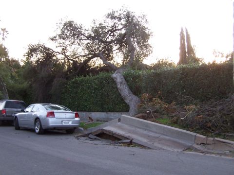 1990 Ford Bronco - A silver sedan is parked on a street next to a damaged curb and fallen tree branches.