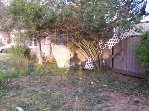 1990 Ford Bronco - A white vehicle is barely visible behind overgrown vegetation and a wooden fence in a yard.