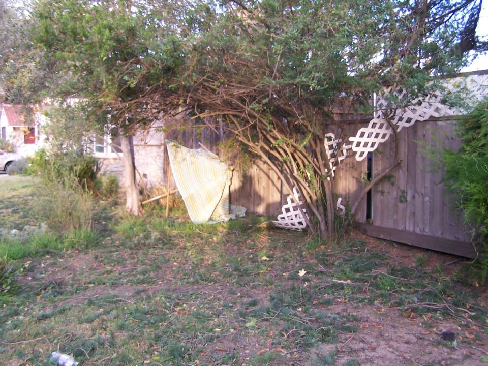 Partially obscured white vehicle in a yard with trees and a wooden fence
