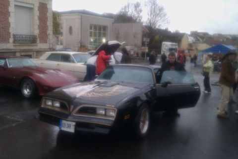 1991 Ford LTD Crown Victoria - A black 1977 Pontiac Firebird Trans Am is parked with its door open, alongside other vehicles.