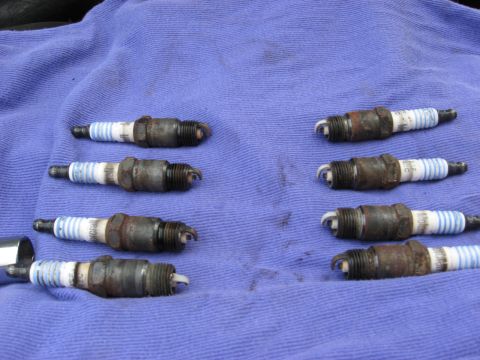 1994 Ford Bronco - Eight used spark plugs are shown on a blue cloth, likely removed from an engine for inspection or replacement.