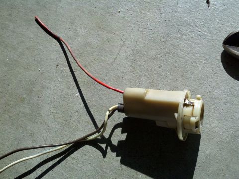 1978 Ford Bronco - Close-up of a bulb socket with attached wires, likely for automotive repair.