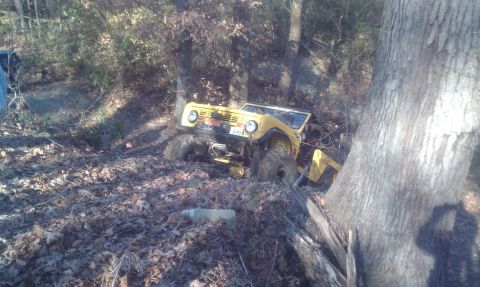 1979 Ford Bronco - A yellow off-road vehicle is stuck in a muddy, wooded area, leaning against a large tree.