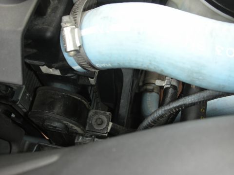 2004 Ford Crown Victoria - Close-up view of engine components, including a hose clamp and wiring harness.