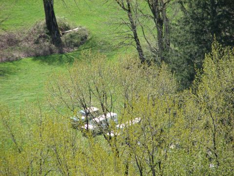1990 Ford Bronco - Two white vans are visible in a grassy area, surrounded by trees in bloom.