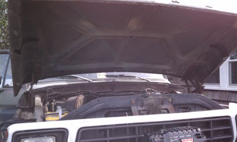 1979 Ford Bronco - Engine bay view of a 1979 Ford Bronco, hood raised to reveal the engine and surrounding parts.