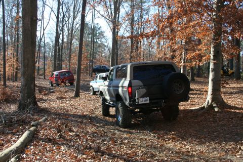 1982 Ford Bronco - Multiple SUVs and trucks navigate a wooded trail during an off-road excursion.