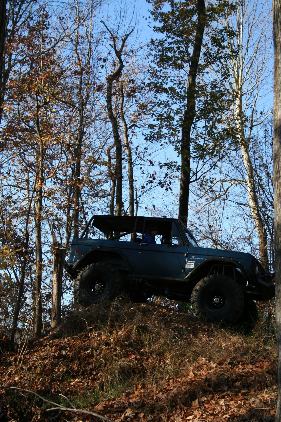 Dark blue 1982 Ford Bronco on a wooded hill