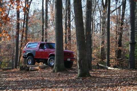 1982 Ford Bronco - A red SUV is positioned on logs in a forest clearing, surrounded by trees and fallen leaves.